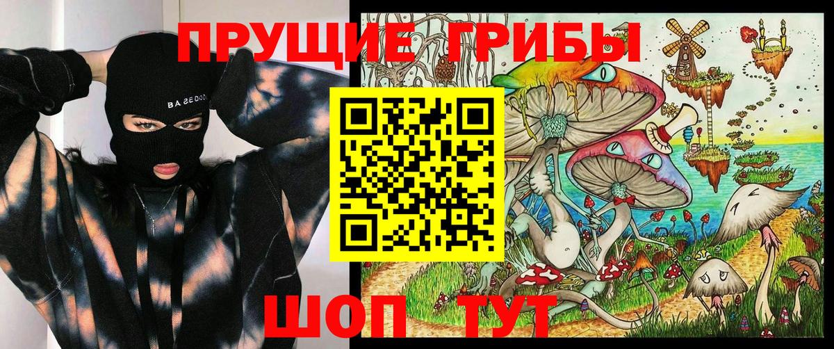 Псилоцибиновые грибы Cubensis Прохладный
