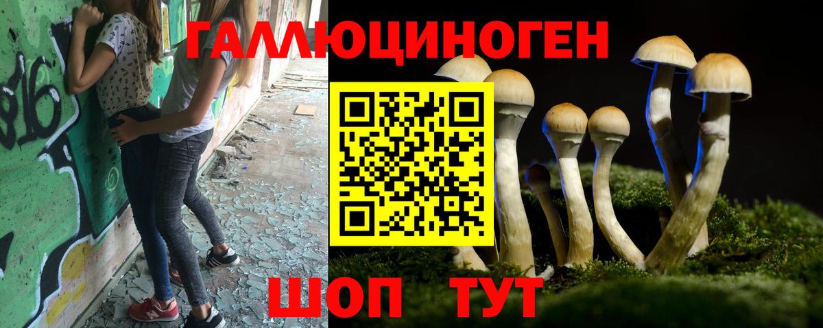 что такое   Вход с VPN  Прохладный  Галлюциногенные грибы мухоморы 